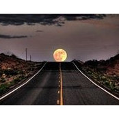 Candace Runion's photo