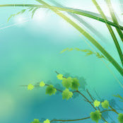 Mohit Gupta's photo