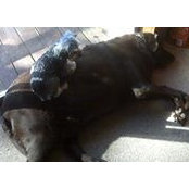 Terry Simmons's photo