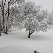 Malia Wombold's photo
