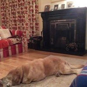 Marie Tully's photo