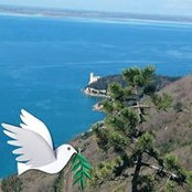 Daniela Bandini's photo