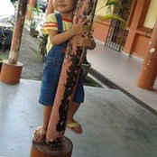 Aida Adnans foto