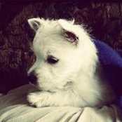 Melanie Roben-Osterhaus's photo