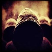 Pia Larman's photo