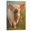 Morning Pig by Cari J. Humphry Canvas Print, 12"x8"x0.75"