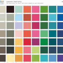 Color Palette