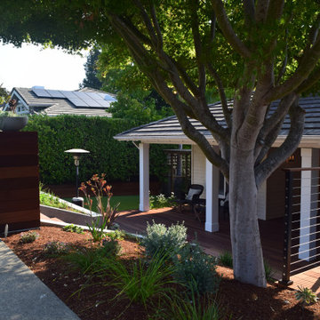 Curb Appeal and Front Yards