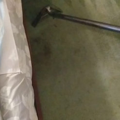 Fantastic Carpet Cleaning Nyc Ridgewood Ny Us 11385