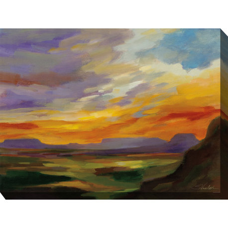 OU-87056 Sonoran Sunset Outdoor Art