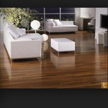 Modern Living Room