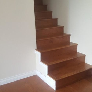 Our Work