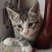 Jessica Chester-Vernon's photo