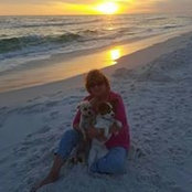 Debbie Dowdy's photo