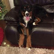 Lori Shore's photo