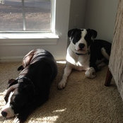 Scott Clark's photo
