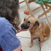 Gina Johnson's photo