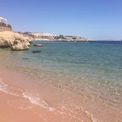 Alena Moore's photo