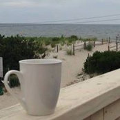 Joan Downey's photo