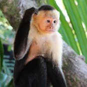 Graham Watt's photo