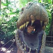 Edward Nogas's photo