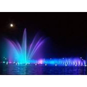 Bonnie Ellison's photo