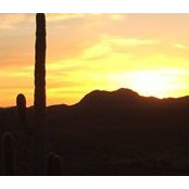 Darlene Sutton's photo