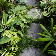 Pathways