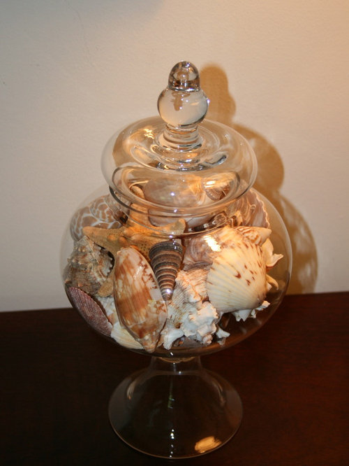 Sea Shell Display Ideas, Pictures, Remodel and Decor