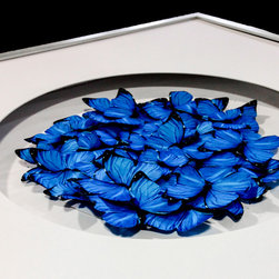 Custom Framed Butterflies - Products