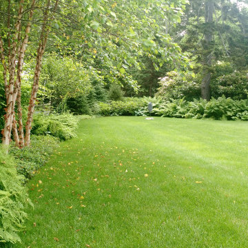 Residential Landscapes