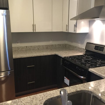 Contemporary Kitchen