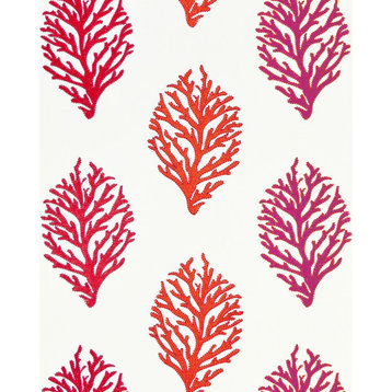 Coral Reef Embroidery, Passion Fruit