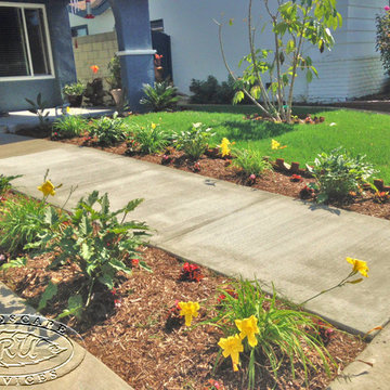 Front Yard Walkway is Inviting