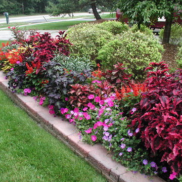 Color Explosion