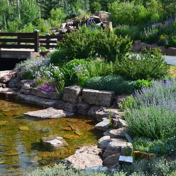 Design - Build Mountain Ranch Landscape in Summit County, CO
