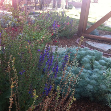 Backyard Patio and Natural Plantings