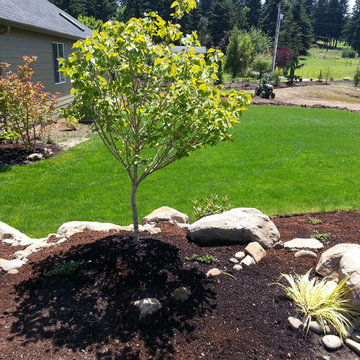HOUZZ SUCCESS-STORY!  PLANT BARE-ROOT TREES & SHRUBS IN BEST LANDSCAPE MAKEOVERS
