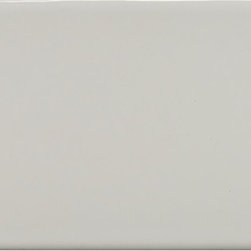 ANN SACKS 3" x 6" Earthenware Elements Rectangle Field Tile in Bright White Glos - Wall And Floor Tile