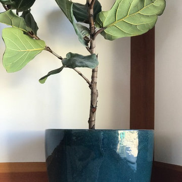 Interior Plantscapes & Design