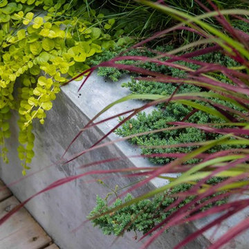 Chef's Garden Retreat