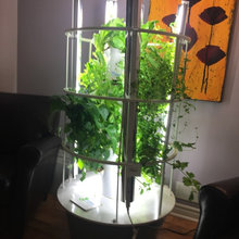 Plants