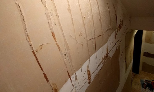 We Removed Paneling Now What - How To Remove Wood Paneling Glue From Plaster Walls
