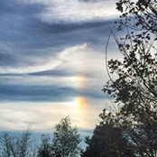 Terri Baumstein's photo