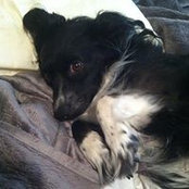Dawn Wilhite's photo