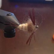Helene Spieler's photo