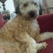 Natalie Meador's photo