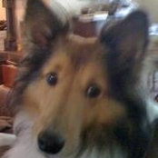 Nancy Barham's photo