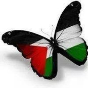 Dina Hashem's photo