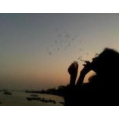 Bhavya Iyer's photo